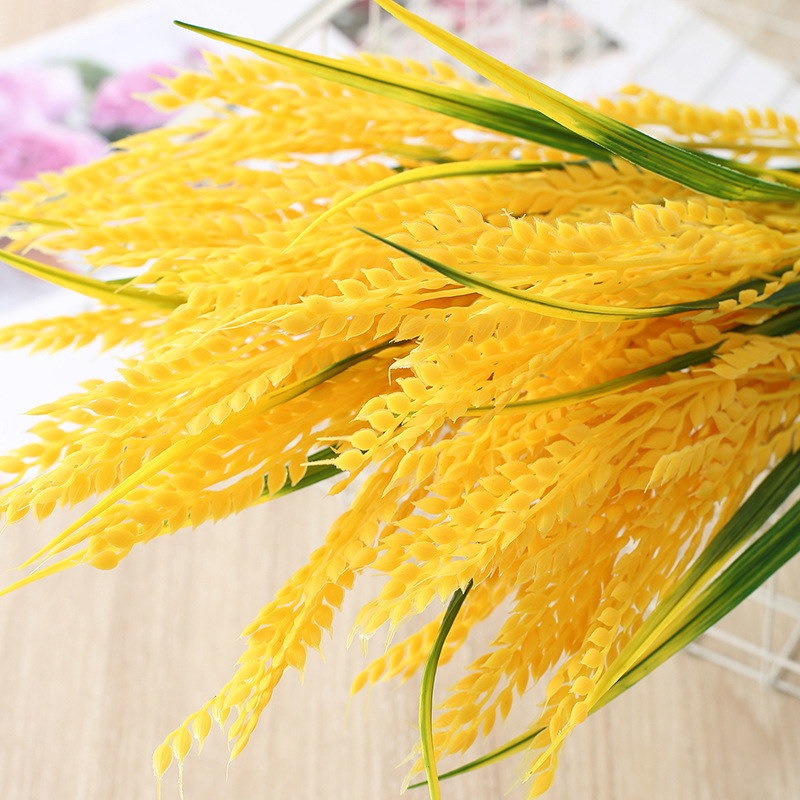 硅膠是食品級(jí)的嗎？